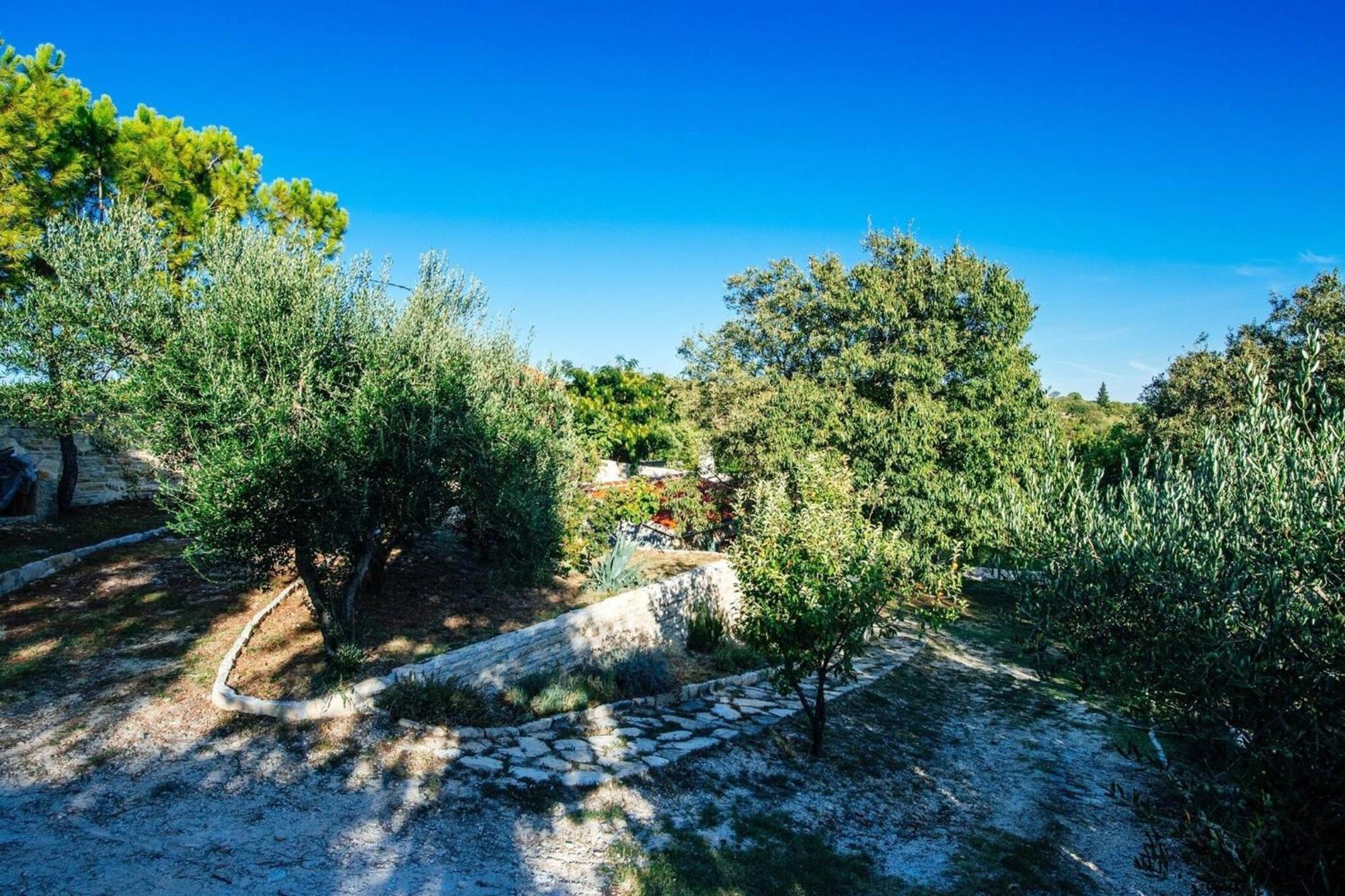 My Dalmatia - Holiday Home Korlat With Private Pool Benkovac Exterior foto